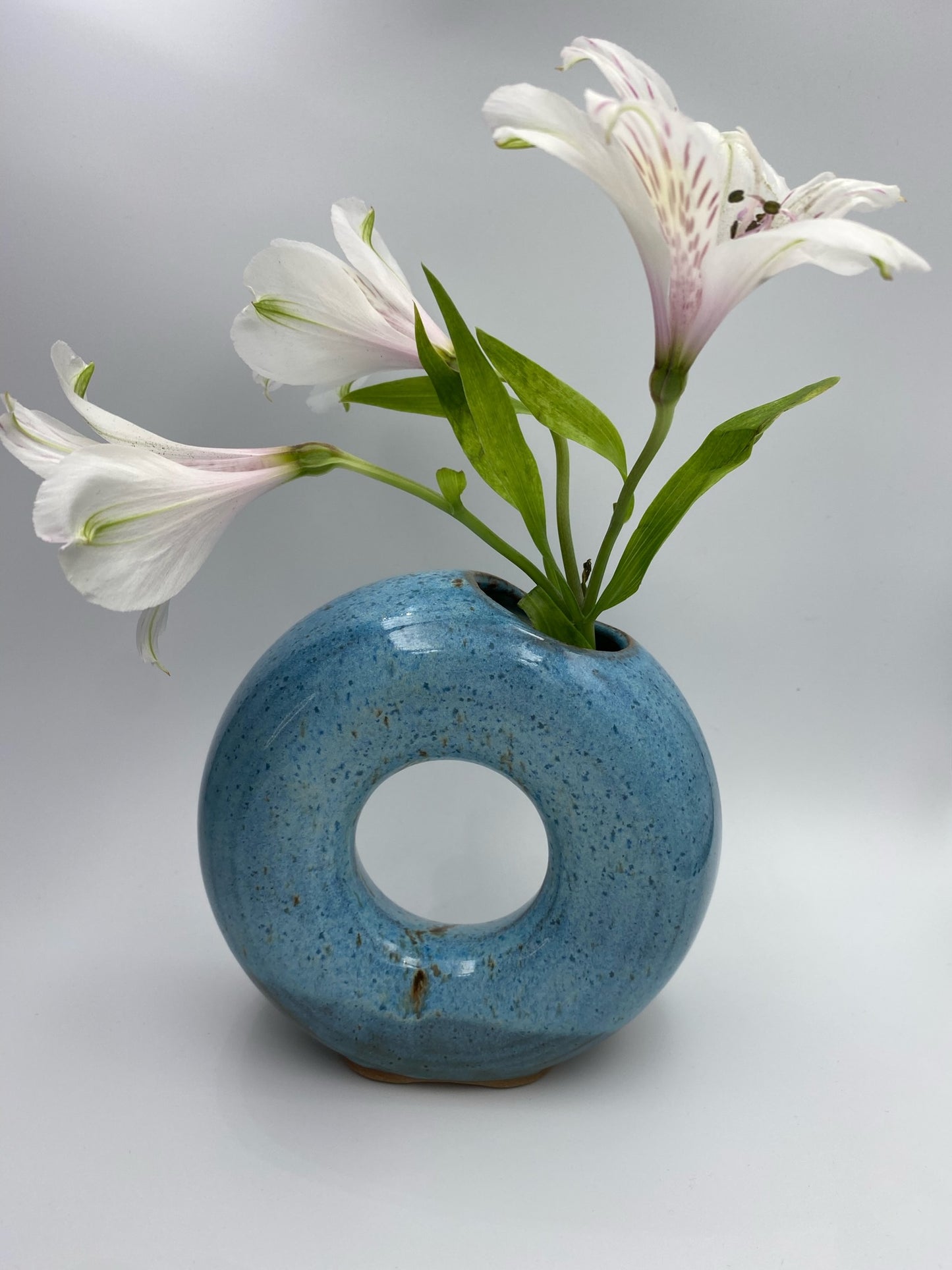 Water Garden Charm Vase